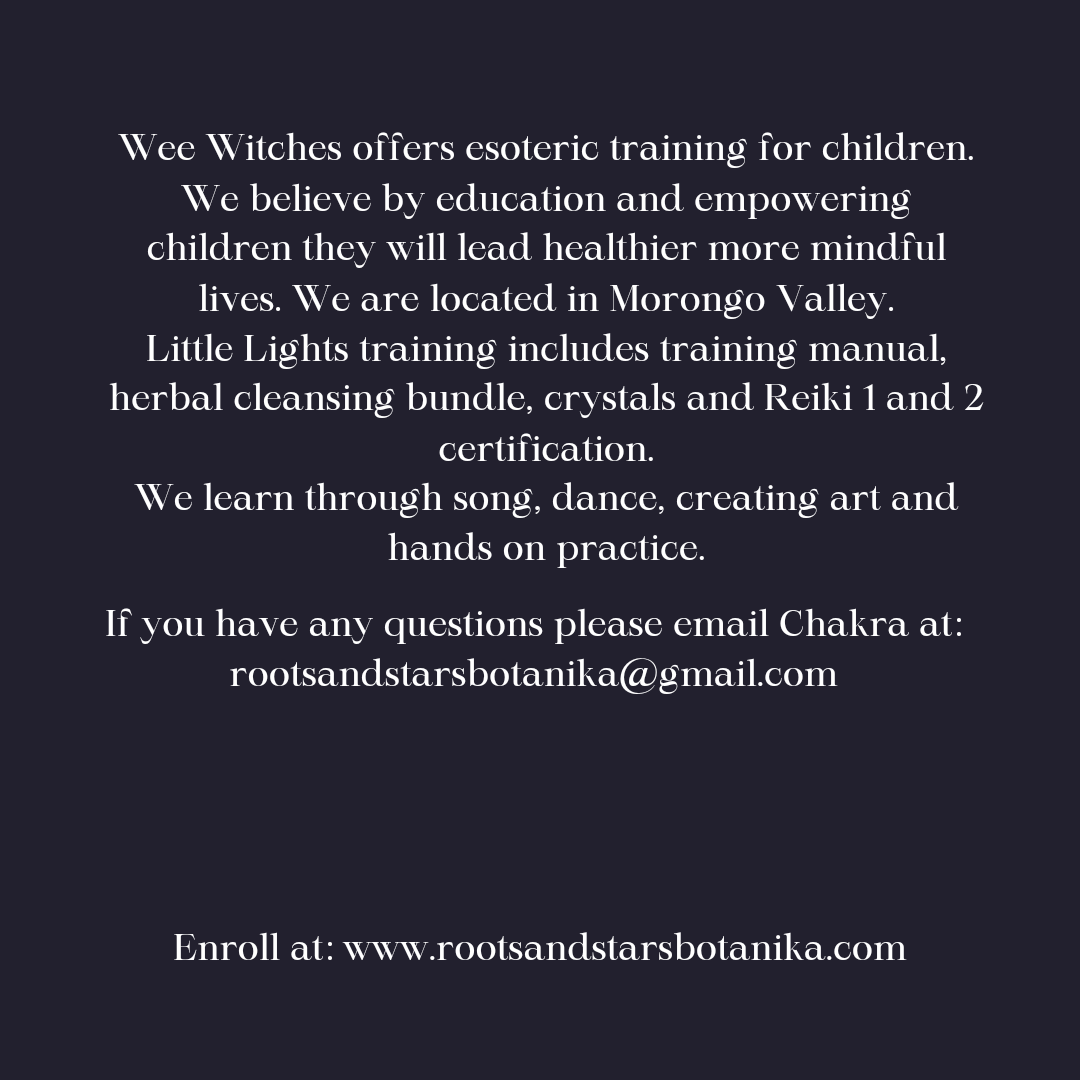 Little Lights Reiki Training for Children