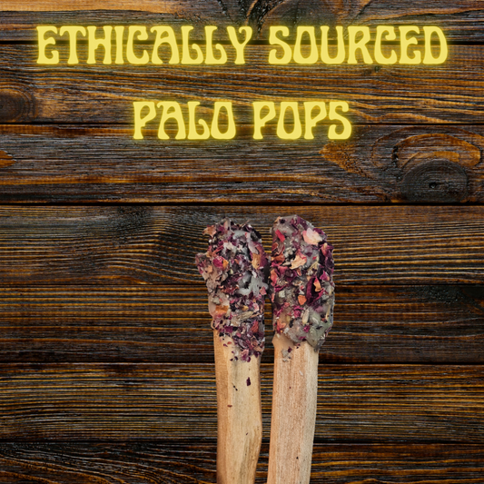 Ethically Sourced Dragons Blood Palo.pops